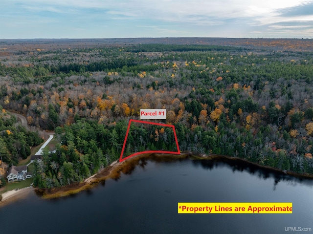 PARCEL1 Deer Lake Rd, Au Train, MI 49806