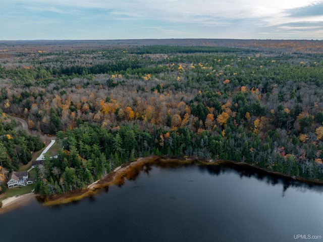 PARCEL1 Deer Lake Rd, Au Train, MI 49806