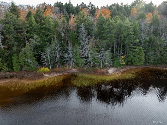 PARCEL1 Deer Lake Rd, Au Train, MI 49806
