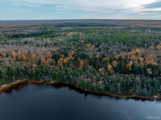 PARCEL1 Deer Lake Rd, Au Train, MI 49806