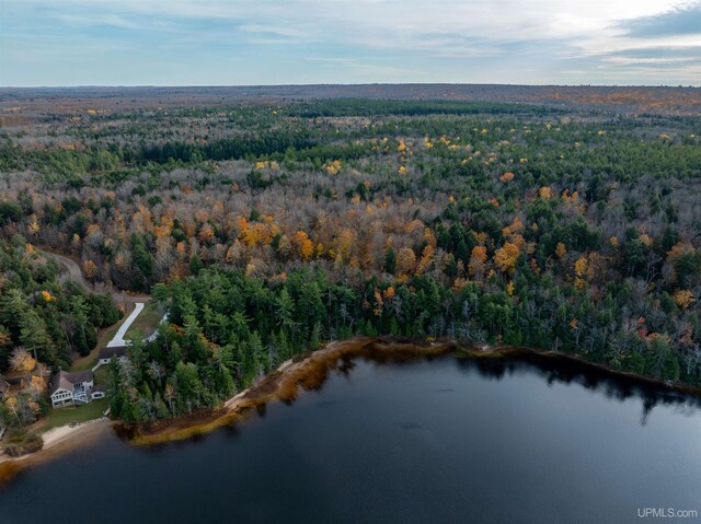 PARCEL1 Deer Lake Rd, Au Train, MI 49806