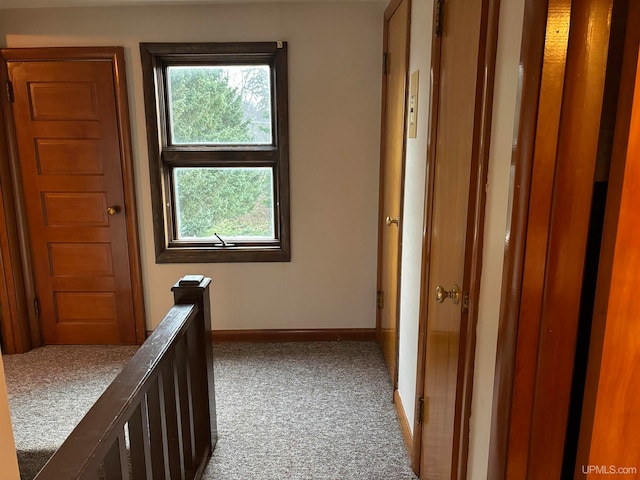 corridor featuring carpet flooring and a healthy amount of sunlight