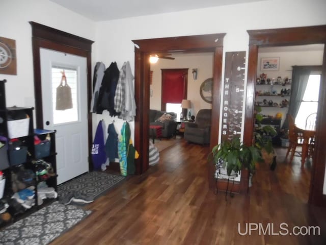 interior space with dark hardwood / wood-style flooring, a wealth of natural light, and ceiling fan