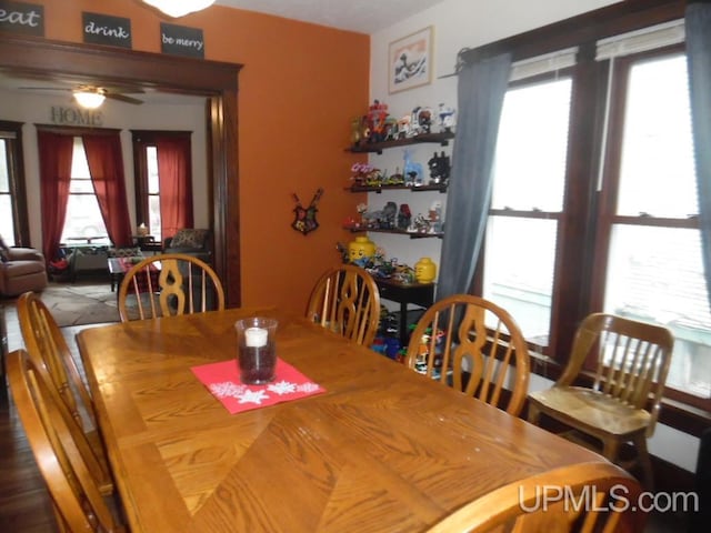 dining area with hardwood / wood-style flooring and ceiling fan