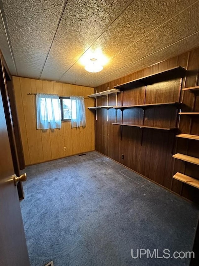 interior space featuring wood walls and carpet floors