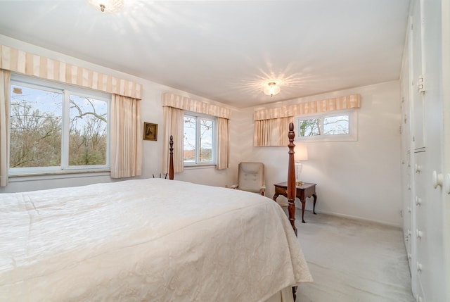 carpeted bedroom with multiple windows