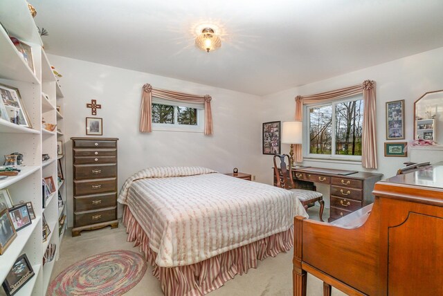 bedroom with light colored carpet