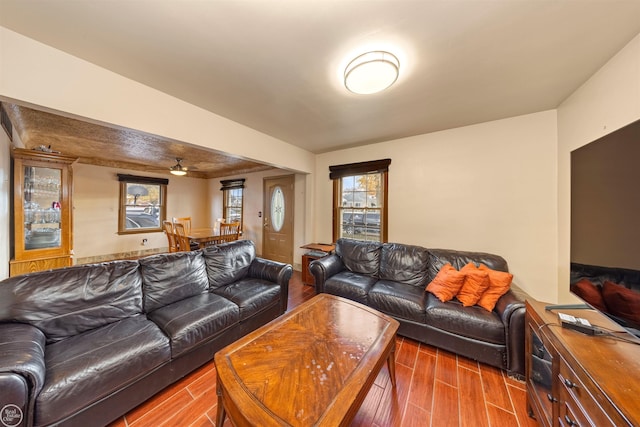 living room with dark hardwood / wood-style floors