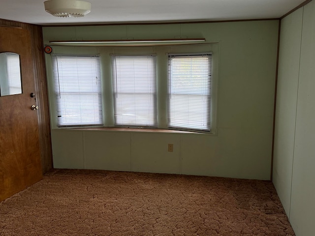 empty room featuring carpet flooring and wooden walls