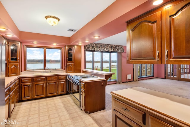 kitchen with light carpet, a water view, black range with electric stovetop, and plenty of natural light