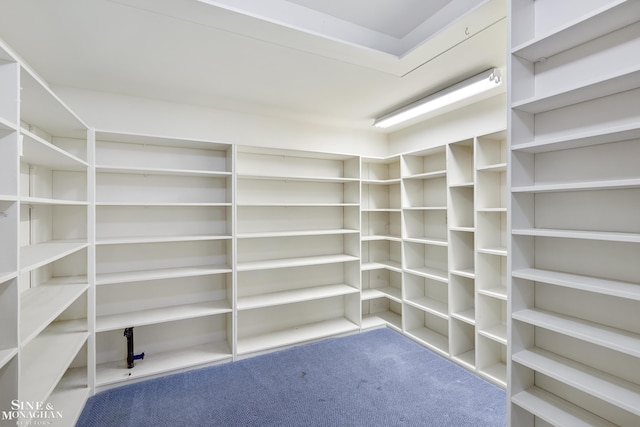 spacious closet with carpet flooring