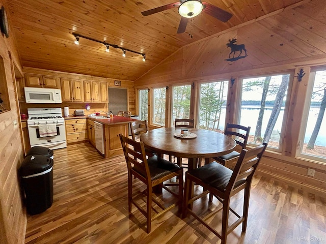 dining room with wood walls, light hardwood / wood-style floors, and a wealth of natural light