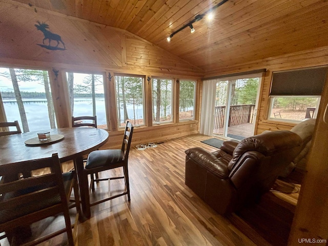 sunroom with a healthy amount of sunlight, a water view, lofted ceiling, and rail lighting