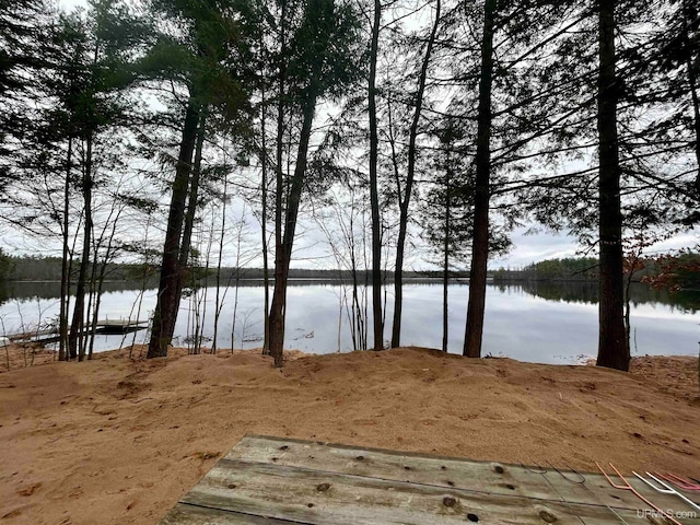 property view of water with a dock