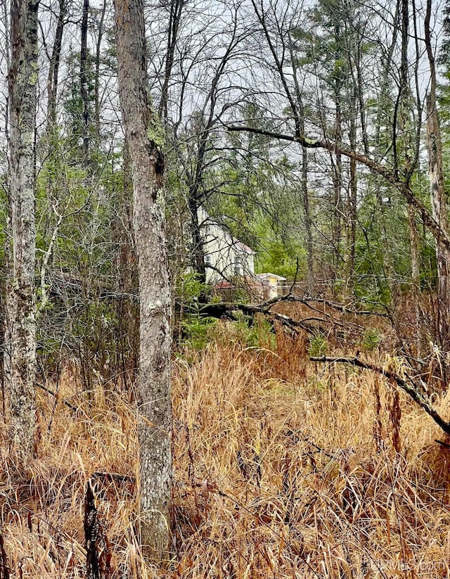 view of landscape