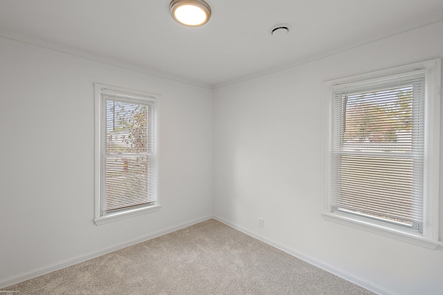 carpeted spare room with a wealth of natural light