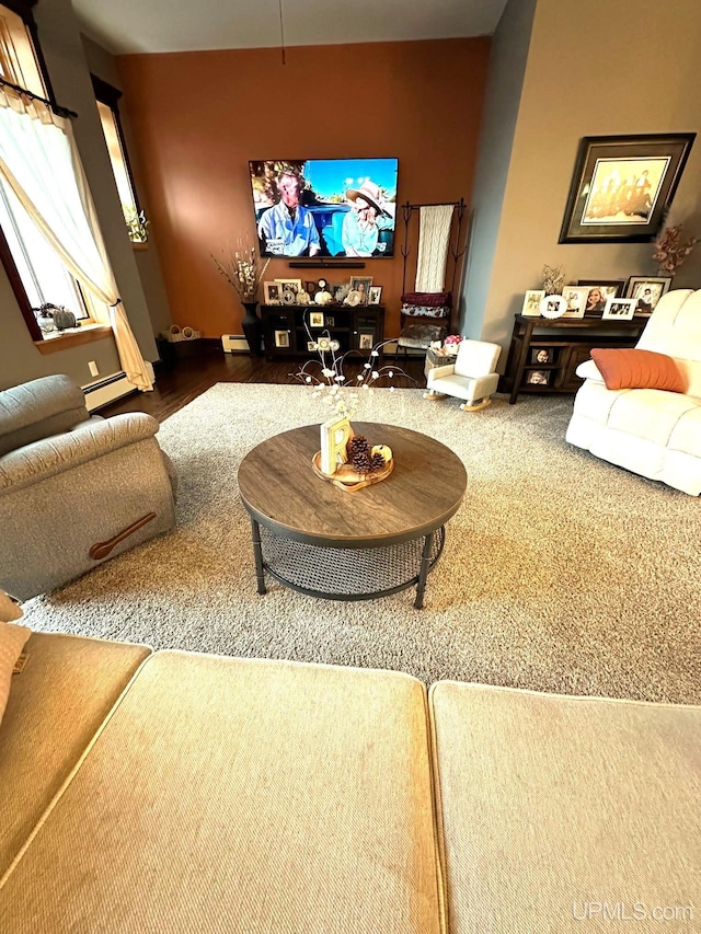 318 Iron St, Negaunee, MI 49866 - home theater featuring baseboard heating and carpet flooring