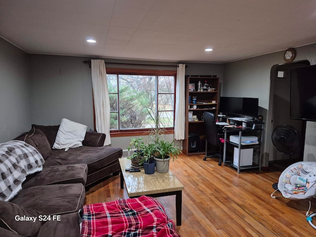 living room with hardwood / wood-style flooring