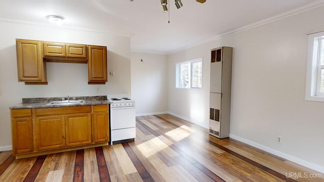 kitchen with ornamental molding, ceiling fan, sink, hardwood / wood-style floors, and white stove