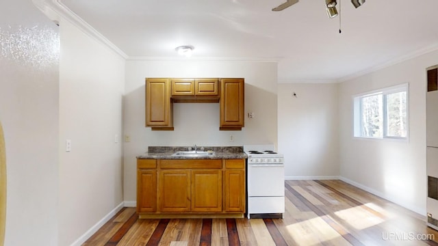 kitchen with ceiling fan, crown molding, sink, light hardwood / wood-style flooring, and white stove