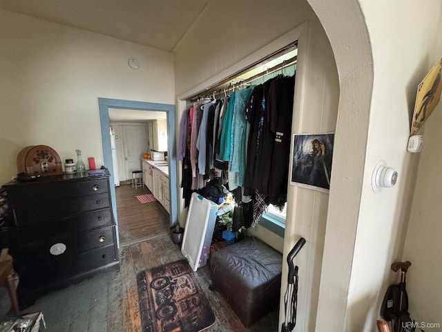 walk in closet featuring dark hardwood / wood-style floors