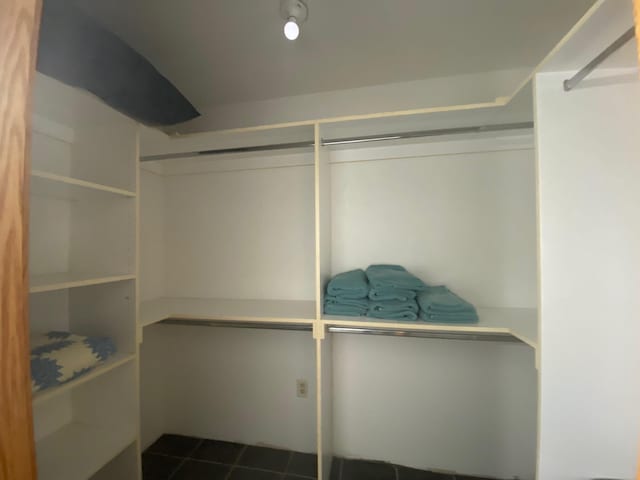 2250 Dryer Rd, Standish, MI 48658 - walk in closet with tile patterned floors