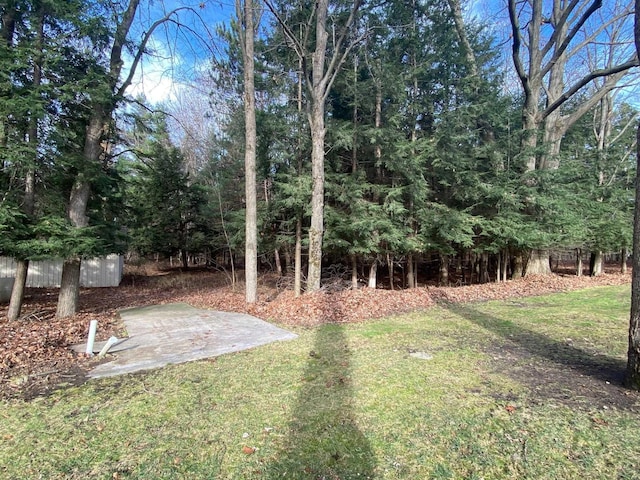 2250 Dryer Rd, Standish, MI 48658 - view of green lawn featuring a patio area