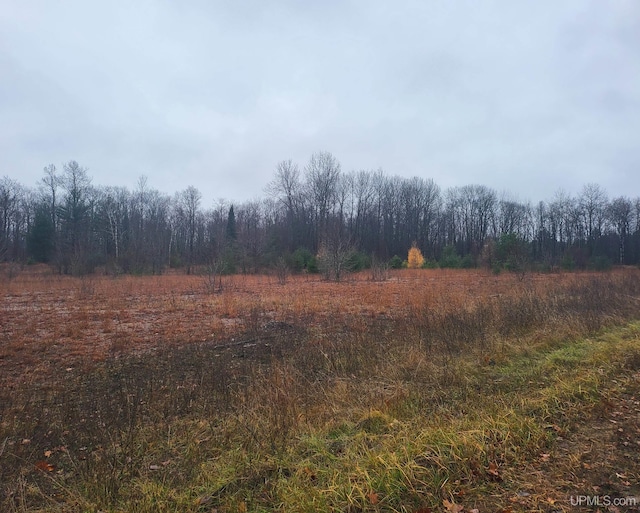 TBD Fumee Lake Dr, Iron Mountain MI, 49801 land for sale