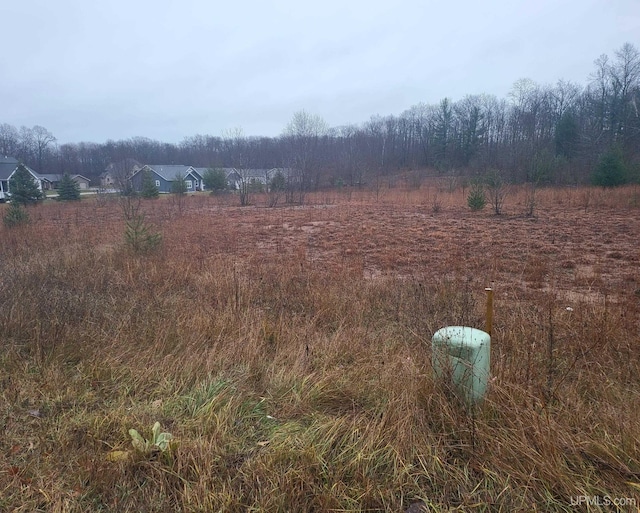 TBD Fumee Lake Dr, Iron Mountain, MI 49801