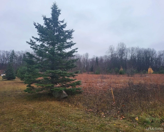 TBD Fumee Lake Dr, Iron Mountain, MI 49801