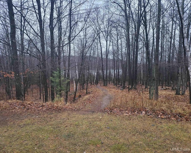 TBD Fumee Lake Dr, Iron Mountain, MI 49801