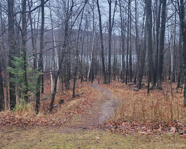 TBD Fumee Lake Dr, Iron Mountain, MI 49801