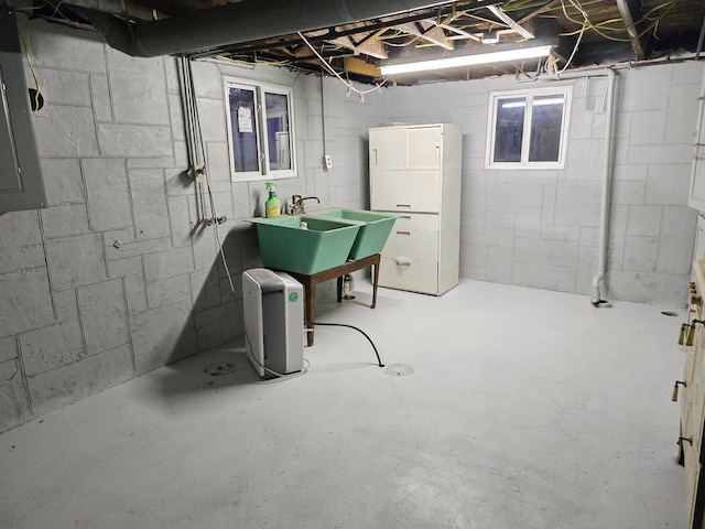 basement with electric panel