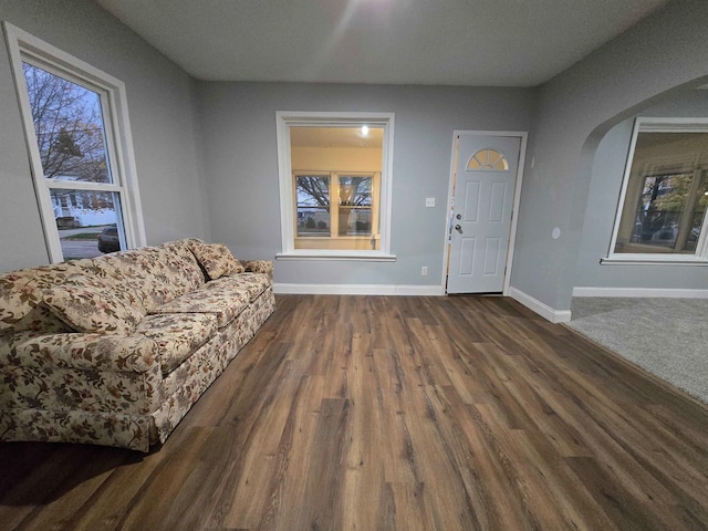 living room featuring dark hardwood / wood-style flooring