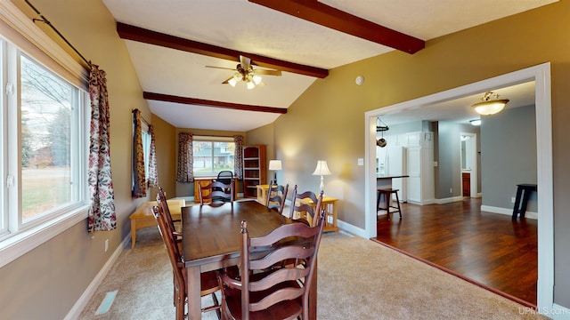 dining space with vaulted ceiling with beams, dark hardwood / wood-style floors, and ceiling fan