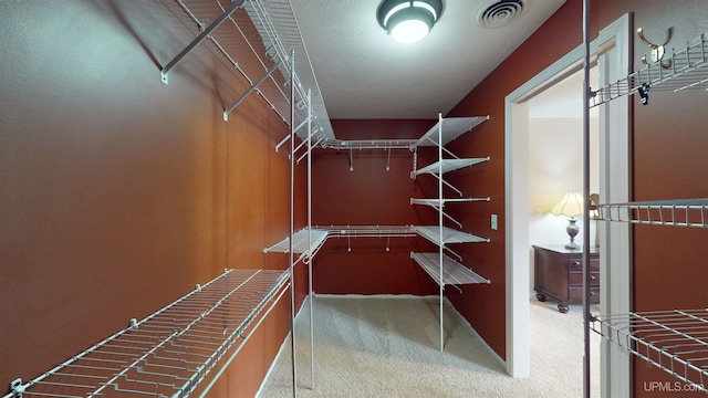 walk in closet with carpet