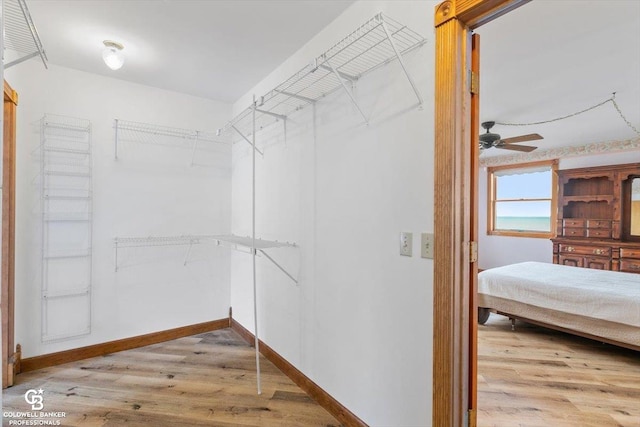 spacious closet with ceiling fan and wood-type flooring