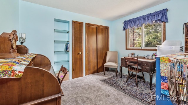 bedroom with carpet flooring and multiple closets