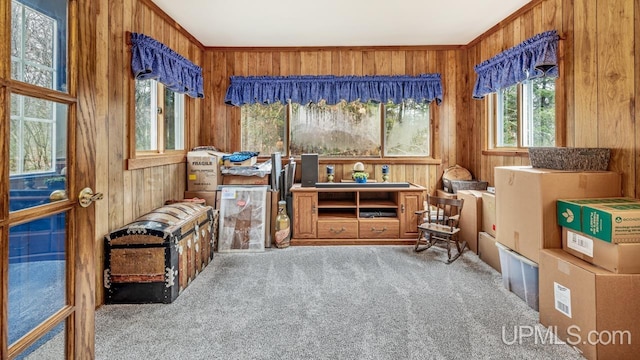 sitting room with carpet flooring and wooden walls