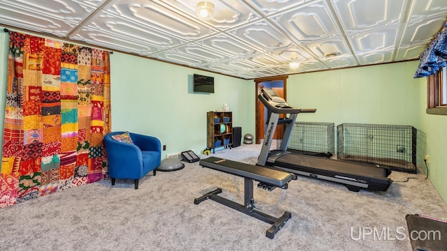 exercise area featuring carpet