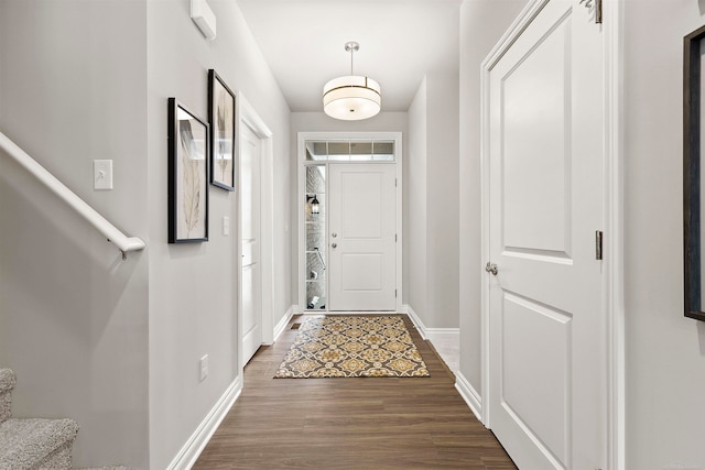 doorway to outside with dark wood-type flooring