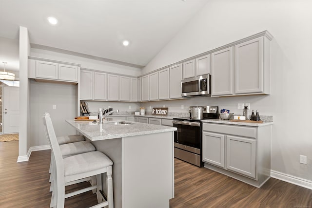 kitchen with light stone countertops, sink, stainless steel appliances, dark hardwood / wood-style floors, and an island with sink