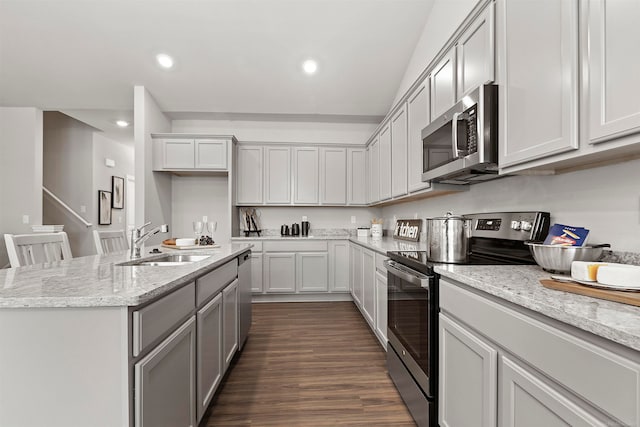 kitchen featuring dark hardwood / wood-style flooring, light stone counters, stainless steel appliances, sink, and an island with sink