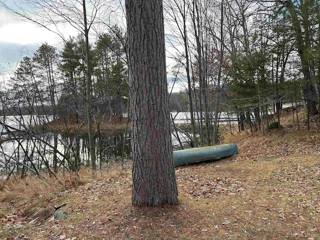 view of yard featuring a water view