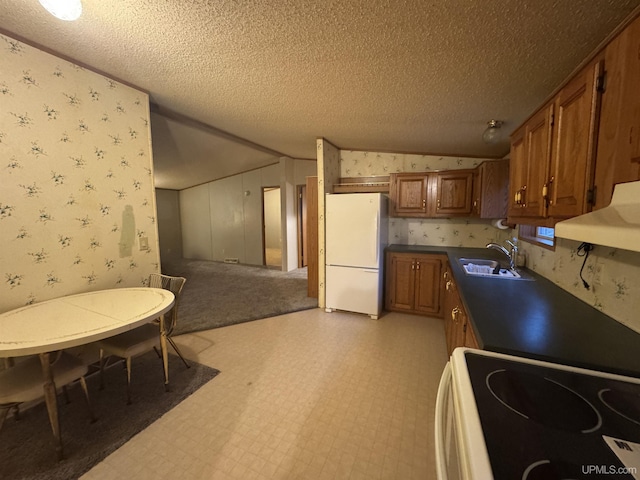 kitchen featuring stove, a textured ceiling, sink, white fridge, and range hood