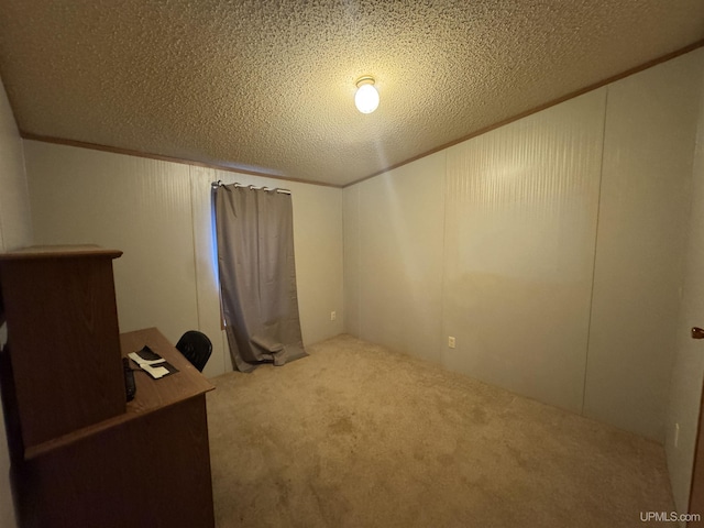 interior space featuring carpet and a textured ceiling