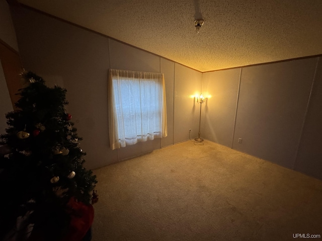 unfurnished room with lofted ceiling