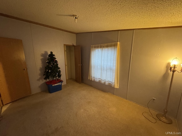 interior space with carpet flooring and a textured ceiling