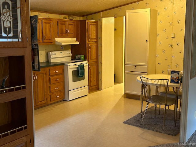 kitchen featuring ornamental molding and white electric stove