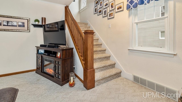 stairway featuring carpet flooring and ornamental molding